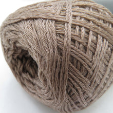 Load image into Gallery viewer, エクトリー