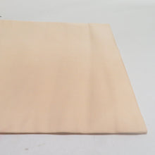 画像をギャラリービューアに読み込む, 名古屋帯 正絹 塩瀬 椿文様 お太鼓柄 九寸帯 ベージュ カジュアル 仕立て上がり 着物帯 長さ375cm