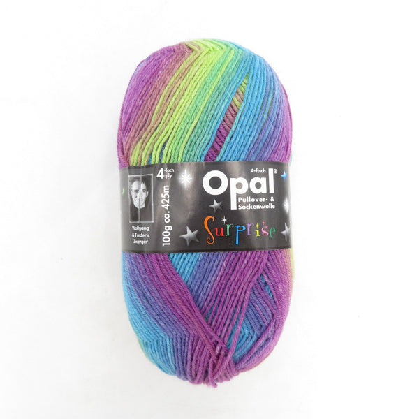 毛糸 Opal オパール サプライズ 4ply/4本撚り オーロラ 4065番色 100g