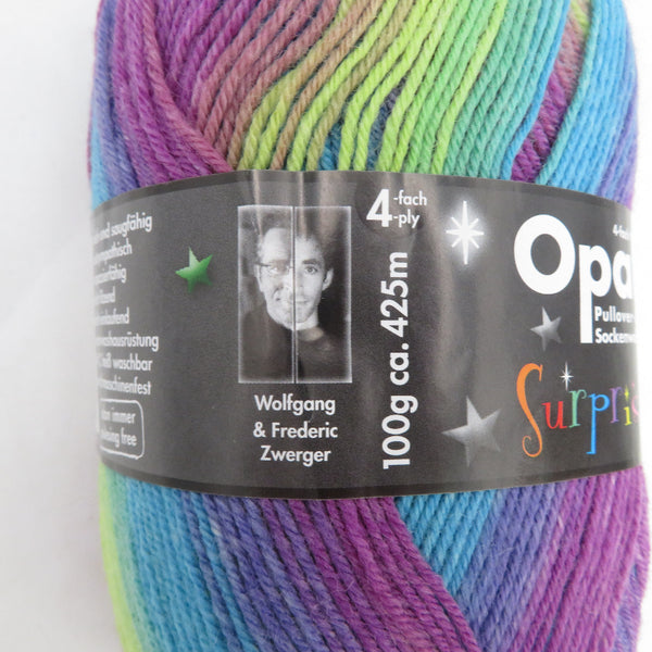 毛糸 Opal オパール サプライズ 4ply/4本撚り オーロラ 4065番色 100g