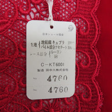 Load image into Gallery viewer, ショール 2点セット レーヨン ベルベットショール 黒x赤