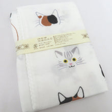 画像をギャラリービューアに読み込む, ガーゼ 猫 三毛猫 ハチワレ