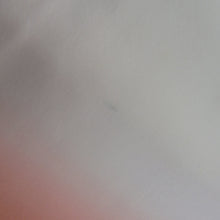 Load image into Gallery viewer, 色無地 袷 ぼかし色無地 黄色 唐草花地紋 バチ衿 正絹 仕立て上がり 身丈166cm