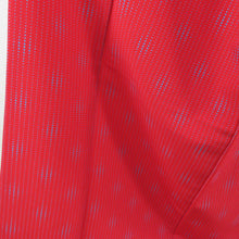 Load image into Gallery viewer, Komon striped dot pattern Washable kimono polyester L size red color red color back lined collar tailored Casual height 166cm