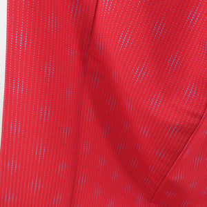 小紋 縞ドット柄 洗える着物 ポリエステル Lサイズ 赤色 カラー胴裏 袷 広衿 仕立て上がり カジュアル 身丈166cm