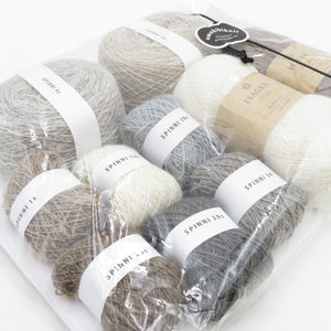 毛糸 ISAGER イサガー amuhibiknit GAVSTRIK Shawl キット 未開封品 未使用品