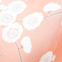 画像をギャラリービューアに読み込む, 袷 正絹 広衿