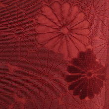 画像をギャラリービューアに読み込む, ビロード織 正絹