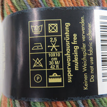 画像をギャラリービューアに読み込む, オパール ヴァン・ゴッホ