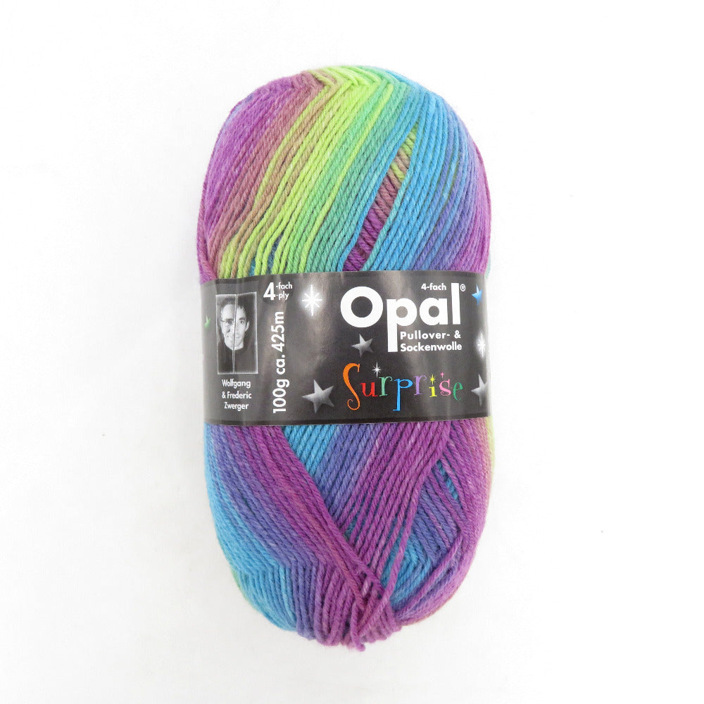 毛糸 Opal オパール サプライズ 4ply/4本撚り オーロラ 4065番色 100g