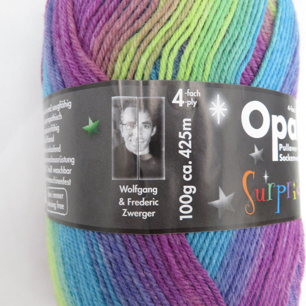 毛糸 Opal オパール サプライズ 4ply/4本撚り オーロラ 4065番色 100g