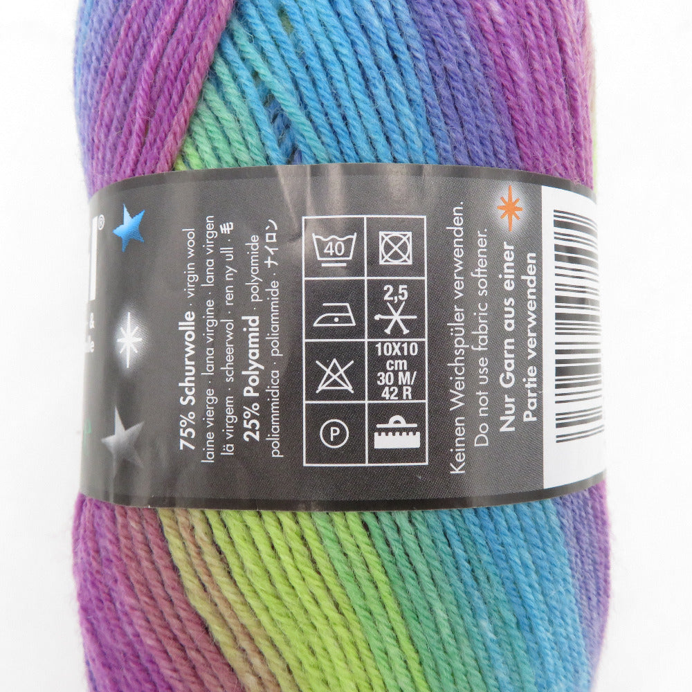 毛糸 Opal オパール サプライズ 4ply/4本撚り オーロラ 4065番色 100g