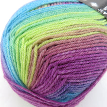 画像をギャラリービューアに読み込む, 毛糸 Opal オパール サプライズ 4ply/4本撚り オーロラ 4065番色 100g玉巻 約425m ソックヤーン 未使用品