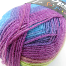 画像をギャラリービューアに読み込む, 毛糸 Opal オパール サプライズ 4ply/4本撚り オーロラ 4065番色 100g玉巻 約425m ソックヤーン 未使用品