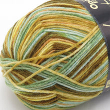 Load image into Gallery viewer, 毛糸 Opal オパール Van Gogh (ヴァン・ゴッホ) 4ply 5432番色 100g玉巻 約425m ソックヤーン 未使用品
