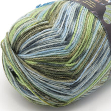 Load image into Gallery viewer, 毛糸 Opal オパール Van Gogh (ヴァン・ゴッホ) 4ply 5434番色 98g ソックヤーン 未使用品