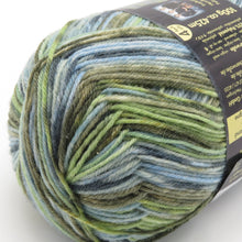 Load image into Gallery viewer, 毛糸 Opal オパール Van Gogh (ヴァン・ゴッホ) 4ply 5434番色 98g ソックヤーン 未使用品