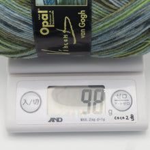 Load image into Gallery viewer, 毛糸 Opal オパール Van Gogh (ヴァン・ゴッホ) 4ply 5434番色 98g ソックヤーン 未使用品