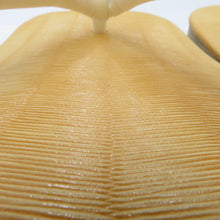 Load image into Gallery viewer, 雪駄 男性用 XLサイズ 男性用 ビッグサイズ 約30.2cm 定番カラー メンズ 履物 男物 和装 着物 浴衣