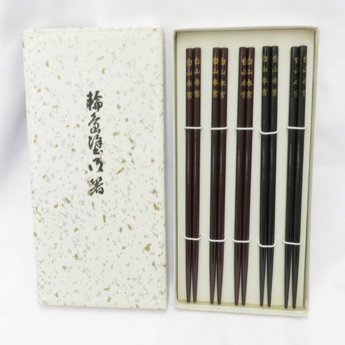 Tableware Wajima Painment 5 Ten Set Lacquer Ware Hakusan Honmiya Beautiful goods