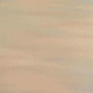 色無地 正絹 ぼかし ベージュピンク 袷 広衿 一つ紋 仕立て上がり着物 身丈163cm 美品