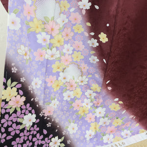 Solve Cherry blossoms in snow wheel pattern blur shake silk