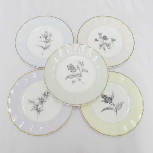 NIKKO Nikko Tableware NIKKO HEALING GARDEN Healing Garden Cake Cake Plate Picture Changed Flower Flower Pattern Set of 5