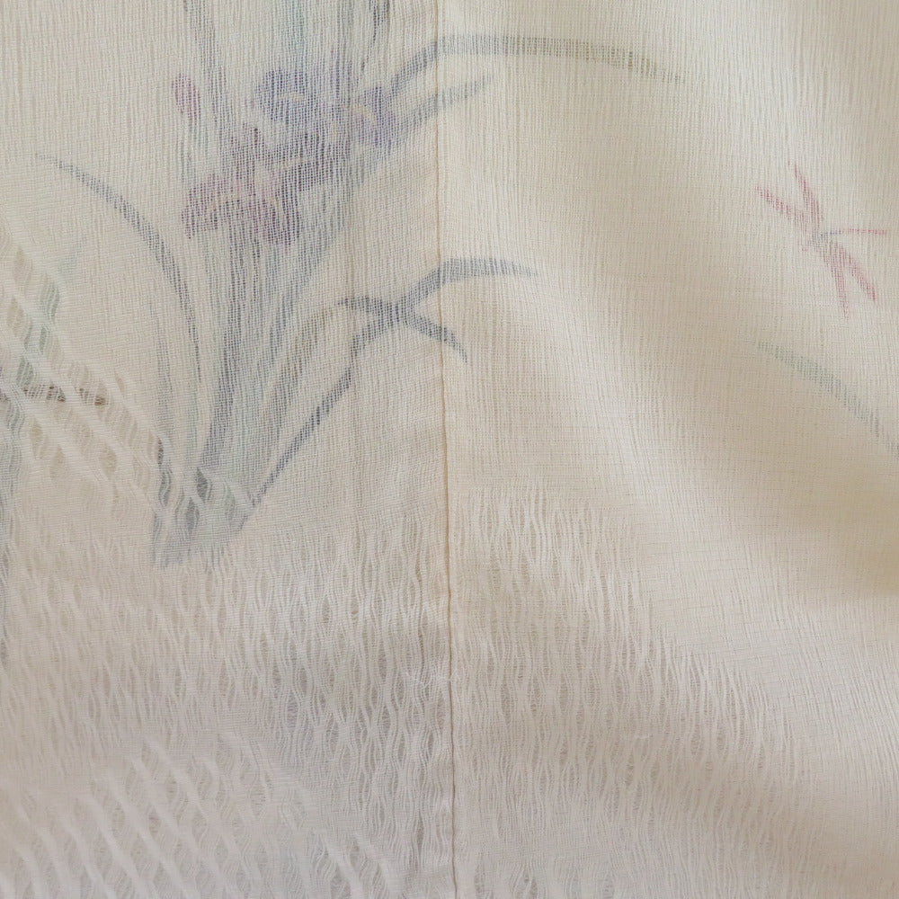 訪問着 紗 紗袷 櫛織り クリーム色 裏地絽 正絹 あやめ模様 箔入り 袷