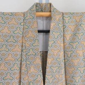 Tsumugi kimono, Bishamon turtle shell and flower pattern, spicy color x green, single-layered, Bachi collar, silk, ready-made kimono, length 161cm