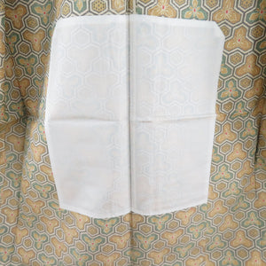 Tsumugi kimono, Bishamon turtle shell and flower pattern, spicy color x green, single-layered, Bachi collar, silk, ready-made kimono, length 161cm