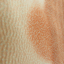 画像をギャラリービューアに読み込む, 付下げ 単衣 紋無し ぼかし染め サーモンピンク色ｘオレンジ色 雲取り紋様 バチ衿 正絹 仕立て上がり着物 身丈160cm