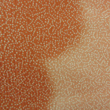 画像をギャラリービューアに読み込む, 付下げ 単衣 紋無し ぼかし染め サーモンピンク色ｘオレンジ色 雲取り紋様 バチ衿 正絹 仕立て上がり着物 身丈160cm