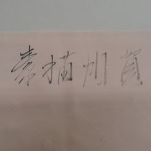 Load image into Gallery viewer, 訪問着 襦袢セット サーモンピンクｘ緑色ｘゴールド 拍入り 流水に花々文様 地紋入り 襦袢の余り布付き 広衿 正絹 仕立て上がり着物 身丈162cm