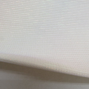 名古屋帯 夏用 正絹 ラメ糸入り 刺繍入り 銀糸 シルバー系 お太鼓柄 花文様 夏物 カジュアル 仕立て上がり 夏帯 長さ362cm