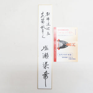 名古屋帯 正絹 塩瀬 灰色x多色 パールトーン加工入り 花籠文様 お太鼓柄 落款付き 色紙付き カジュアル 仕立て上がり 着物帯 長さ377cm