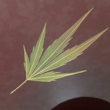 Load image into Gallery viewer, 骨董・民芸品
