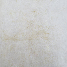 画像をギャラリービューアに読み込む, 袋帯 金糸 ゴールド系 刺繍入り 本金箔 奥の細道絵紋 金泥箔 金色ｘ緑色ｘ多色 箱付き 六通柄 正絹 仕立て上がり 長さ432cm