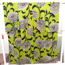 画像をギャラリービューアに読み込む, 小紋 キモノオフ