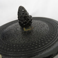 Load image into Gallery viewer, 南部鉄器 ナンブテッキ 骨董・民芸品 盛栄堂 鉄急須 茶器 レトロ