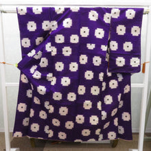 画像をギャラリービューアに読み込む, 昔きもの アンティーク 銘仙