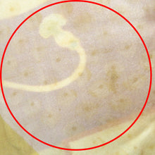 Load image into Gallery viewer, 羽織 アンティーク 昔長羽織 正絹 紫×多色 扇 花車 花々 昔 レトロモダン 明治・大正ロマン ちりよけ 上着 身丈99.5cm