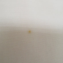 Load image into Gallery viewer, 袋帯 夏用 夏袋帯 紗 シルバー系 正絹 銀色ｘ白色ｘ薄ピンク色 ぼかし 菖蒲文様 六通柄 着物帯 長さ432cm