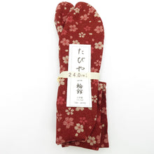 画像をギャラリービューアに読み込む, 柄足袋 24.0cm 臙脂色 桜柄 さくら 底面白色 日本製 たびや 一輪館 綿100％ 4枚こはぜ レディース 女性用 足袋 カジュアル 新品