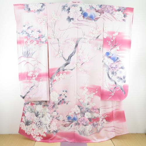 Kikubashi -dashi and chrysanthemuman sentence with pure silk signs lined wide collar pink -colored adult ceremony graduation ceremony formal tailoring kimono 162cm
